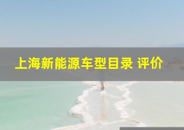 上海新能源车型目录 评价